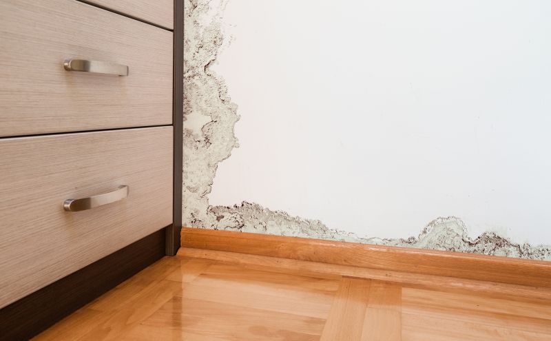 Water Damage Mitigation