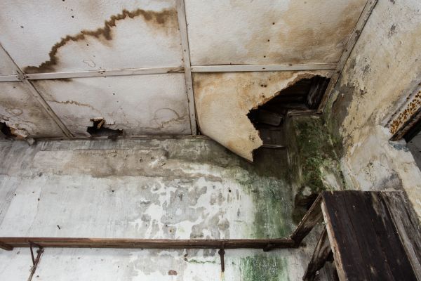 Water Damage Service in Burlington