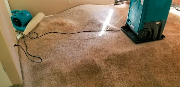 Cost of Carpet Water Extraction in Burlington
