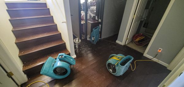 Water Damage Remediation in Burlington