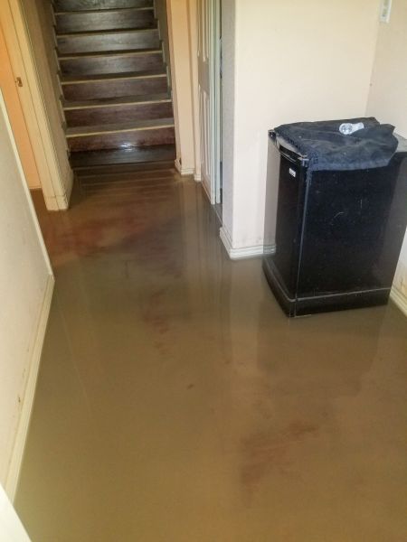 Cost of Emergency Water Removal in Burlington