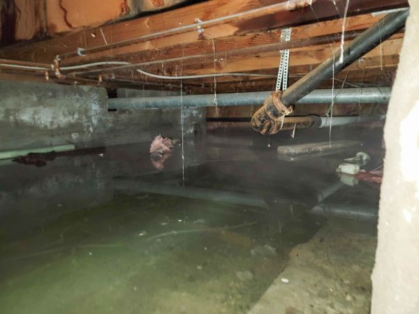 Crawl Space Drying in Burlington