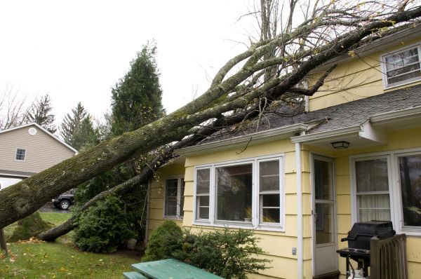 Cost of Hurricane Damage Repair in Burlington
